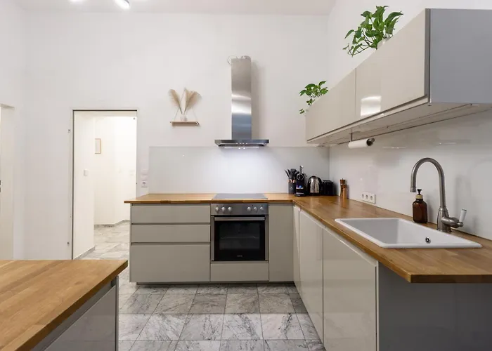 Apartamento In Viennese Old Building Viena